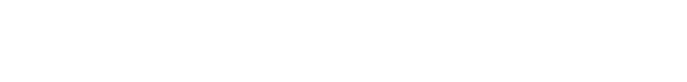 SAMPLE COMPANY
